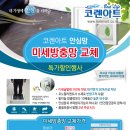 코렌 이미지