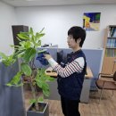 홍익방역 이미지