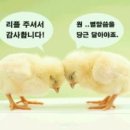 김포시 걸포동 역세권 아파트 교환매매 ... 이미지