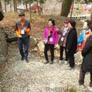 소화건강타운 이미지