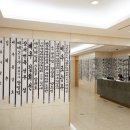 강수연 파이낸셜뉴스