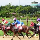 렛츠런파크 제주 이미지