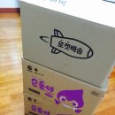 [육아용품후기]처형이 선물한 쿠팡로켓배송 어니스트기저귀, 순둥이물티슈