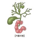 낭 - 제주시 우령2길 52 | 낭