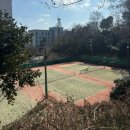 군산월명종합경기장테니스장 | 군산코트) 장소를 착각해서 방문한 월명공원테니스장(인조잔디,주차)