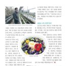 스마트농원 이미지