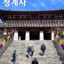분재전통다원