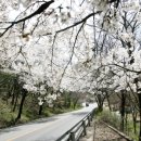 남종면행정복지센터 이미지