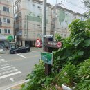 이촌근린공원 이미지