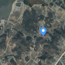 희망드림공인중개사사무소 이미지