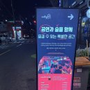 엔트리55 라운지 성수 | 성수동 재즈바 찾으면 무조건 여기 | 엔트리55 성수점 후기