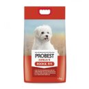 베스트 애견 이미지