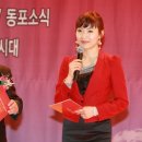 예인 Daum카페
