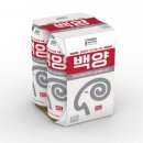 백양 메리야스 이미지