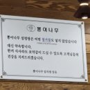 뽕이나무 이미지