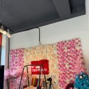 자랑하개 | 김포 애견카페 소형견 중형견 대형견 구분 운동장 강아지 놀이터 자랑하개 후기, 주차