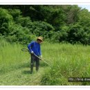 산소농장 이미지