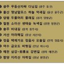 녹색길 이미지