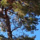 상마농장 이미지