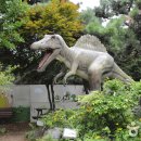 창조자연사박물관 이미지