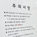 장호항팬션바다여울 네이버블로그