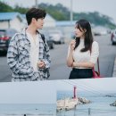 갯마을차차차 이미지