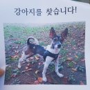 나도 파워블로거 이미지