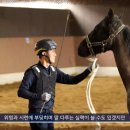 한국마사회