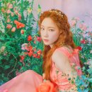 태연 - 강서구 제도로 965 | 태연
