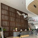 호텔디셈버 | 나트랑 시내 가성비호텔 디셈버호텔 3박후기