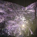 석촌장식