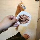 감자와 맛동산 이미지