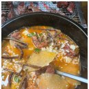 서해쭈꾸미 이미지