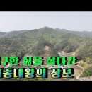 삼한국대부인순흥안씨묘 이미지