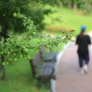 반룡산공원 이미지