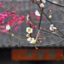 "검은 먹의 여운" -포항 평생학습원 한국화 전시회 소식 이미지