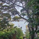 블루포트 대구가톨릭대도서관점 | 호주 시드니 8박 10일 : 시드니 자유여행 일정(코스) 및 경비 정리(공유, 맛집, 꿀팁✨️)