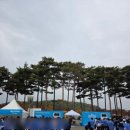 [20251108] 10th 슈퍼블루마라톤 후기