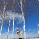 2024-0205-0208 | [삿포로 투어] 홋카이도 비에이 투어 후기! ❄️✨ 겨울 왕국 같은 풍경 속으로 🚍 part.01