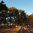 상주은모래비치 주차장 이미지