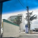 (주)엠쿠키 | 부산 강서구 녹산 신상 대형카페 엠오엘(MOL)｜주차·베이커리 솔직후기