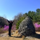 천주산 등산로 | 천주산 진달래축제 전 미리 다녀온 진달래 만개한 등산 후기