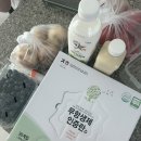 사코 요거트 스타터/ 구운 계란 만들기/ 용인 예삐 플라워 아울렛/ 엘지틔운미니 후기