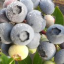 두마리토끼 이미지