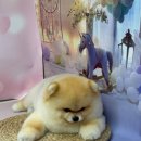 릴리줄리살롱 이미지