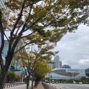 펫마트화랑점 | 박람회 알바후기, 벡스코 펫쇼 사무국 스태프 후기[꿀알바 추천]- 다른 파트 정보 포함