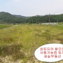 새실농장 이미지