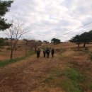 그린목장 이미지