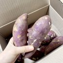 숙이농산 - 제주시 구남로 16 | 숙이농산