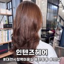 산호한양 | 대전탄방동미용실 1인헤어샵 인텐즈헤어 커트 후기